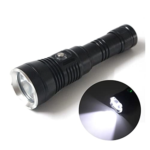 Professional Submersible Light