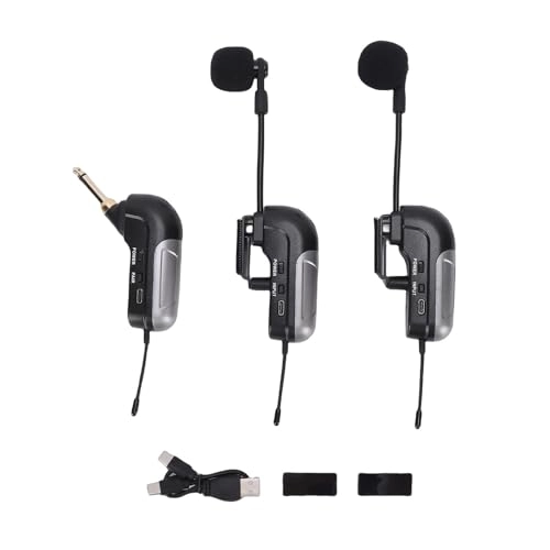 Wireless Accordion Microphone - 2 UHF