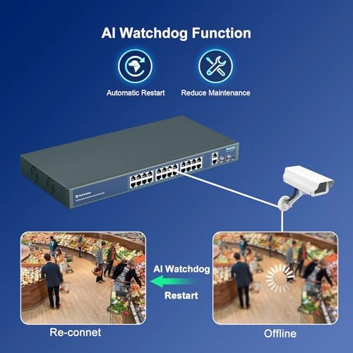 Ethernet Switch 24-Ports