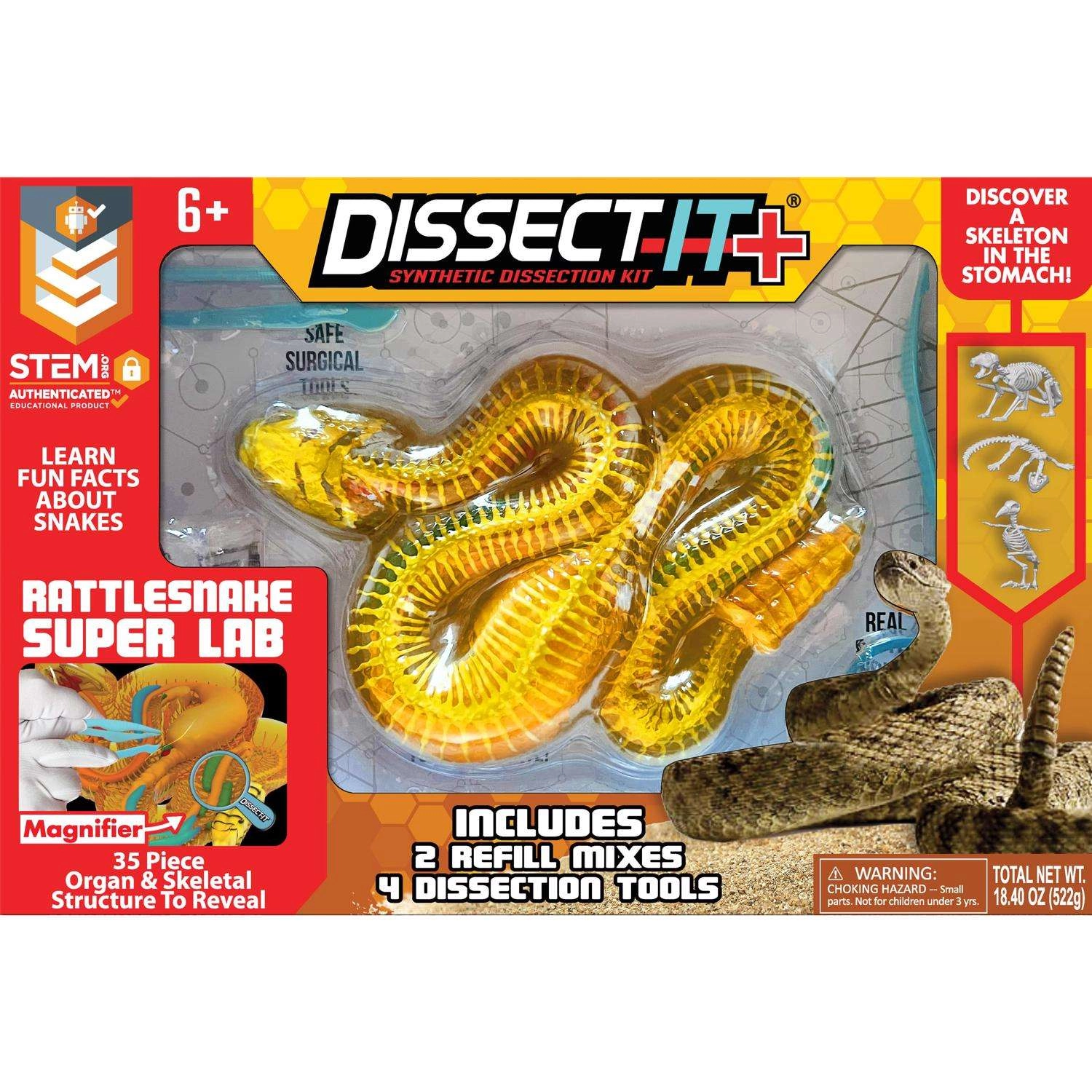 COLOR LAND CHILDRENS TOYS CENTER LLC Dissect-It Rattlesnake Super Lab Synthetic Dissection Kit STEM - 6 years+ 35 pieces