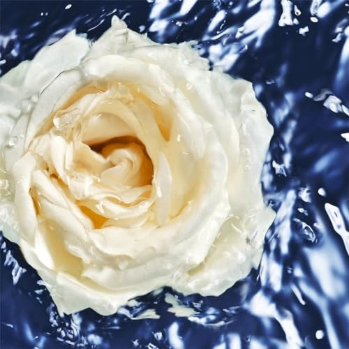 Cool Water Woman Oceanic Edition Eau de Toilette 100ml