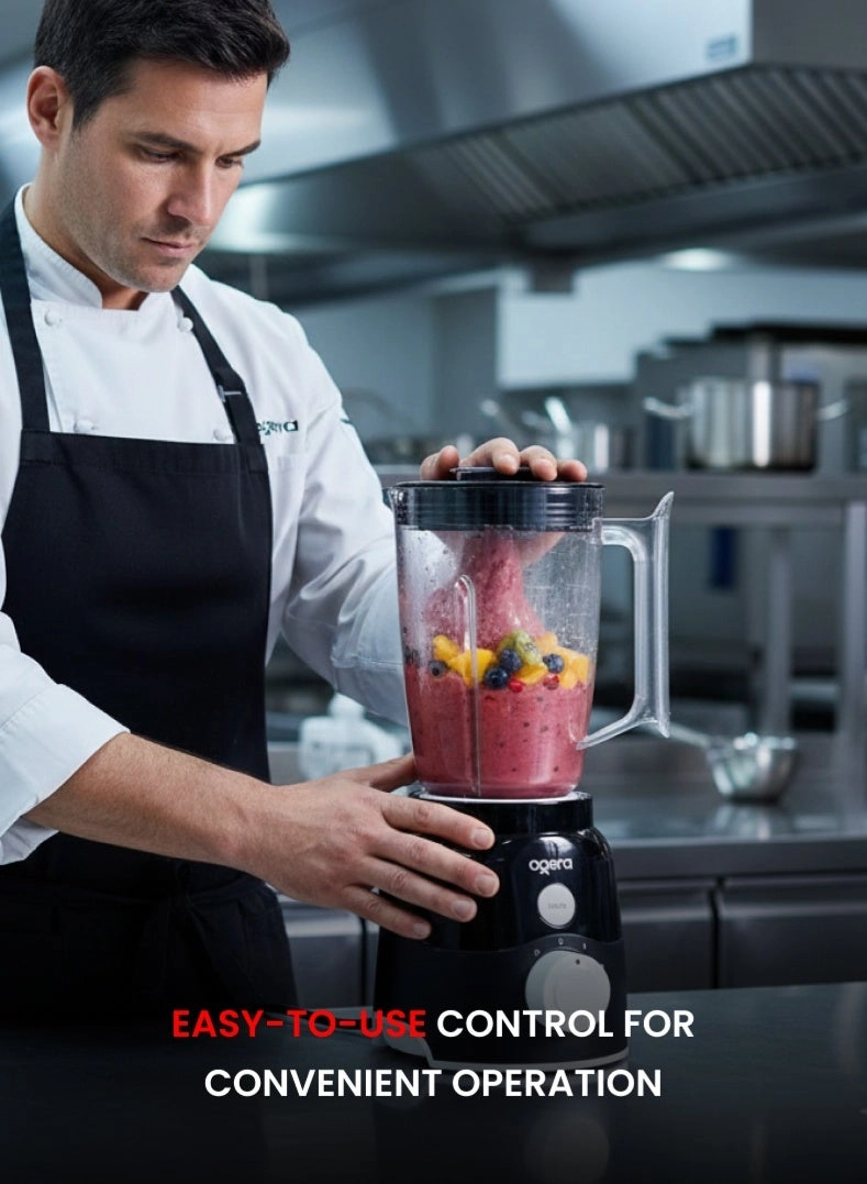 OG5104BR - 650 watts 2 Liters