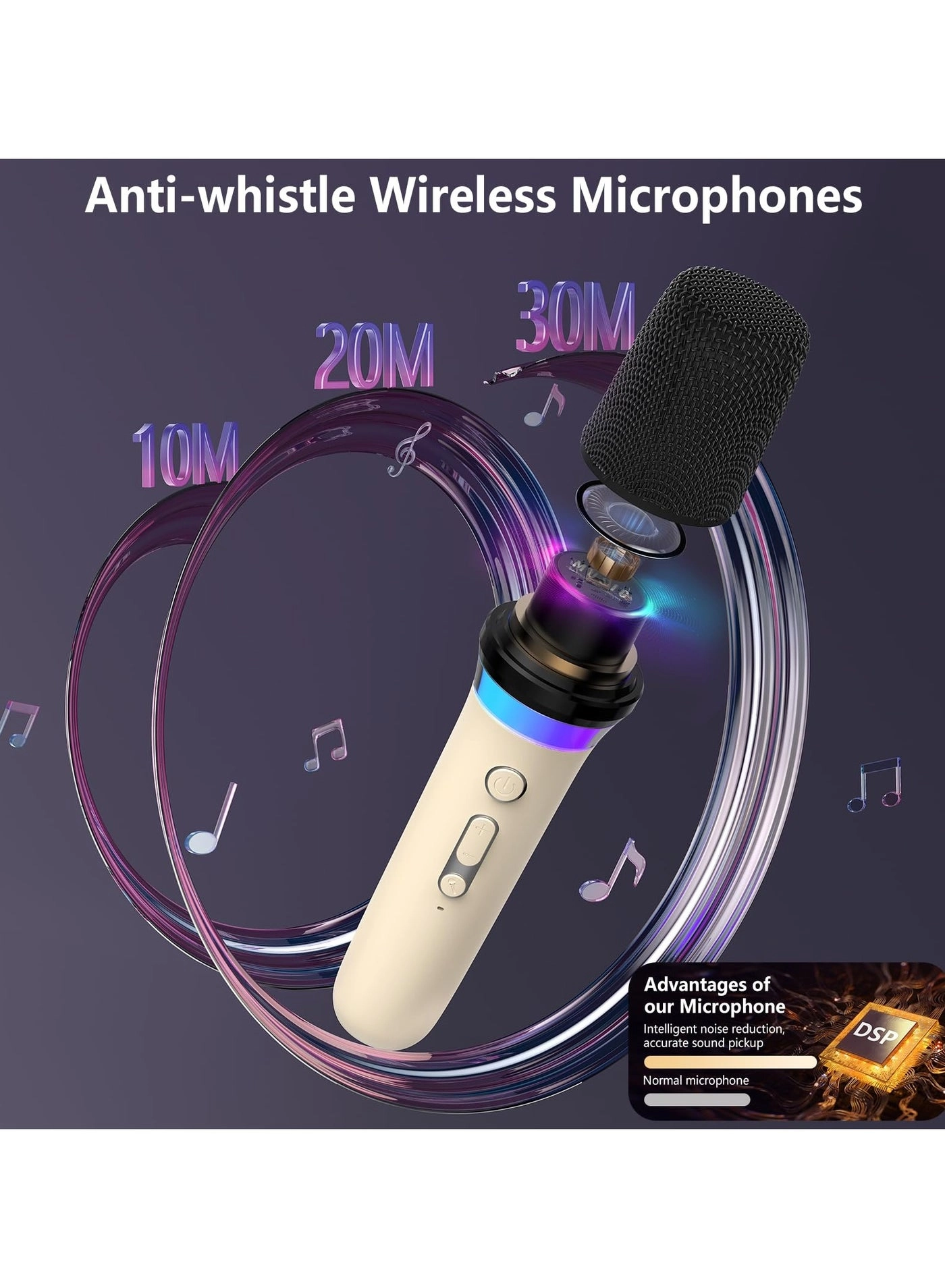 D30T - 2 Wireless Microphones