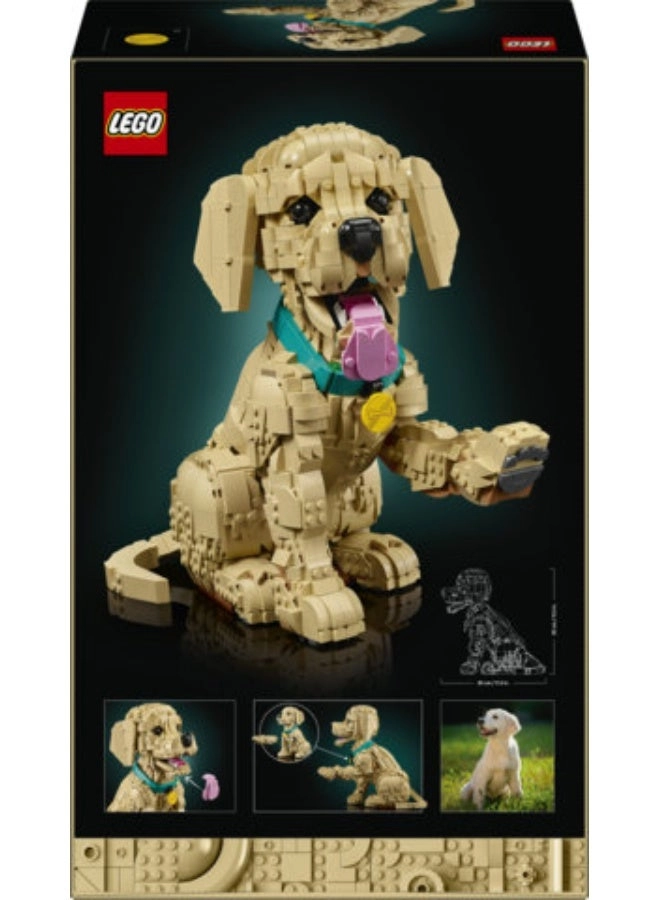 Golden Retriever Puppy (11384) - Posable Home Decor
