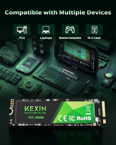 X15 - 256GB M.2 2280