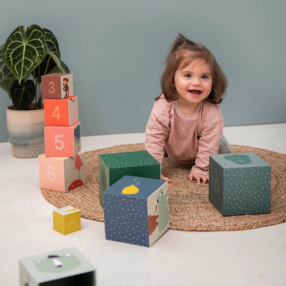 Stacking Blocks - Suitable for 12 months and above 10 pcs