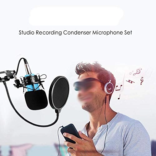 Studio Recording Cardiod Condenser XLR Microphone