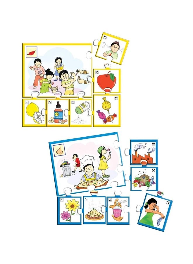 Our 5 Senses - English