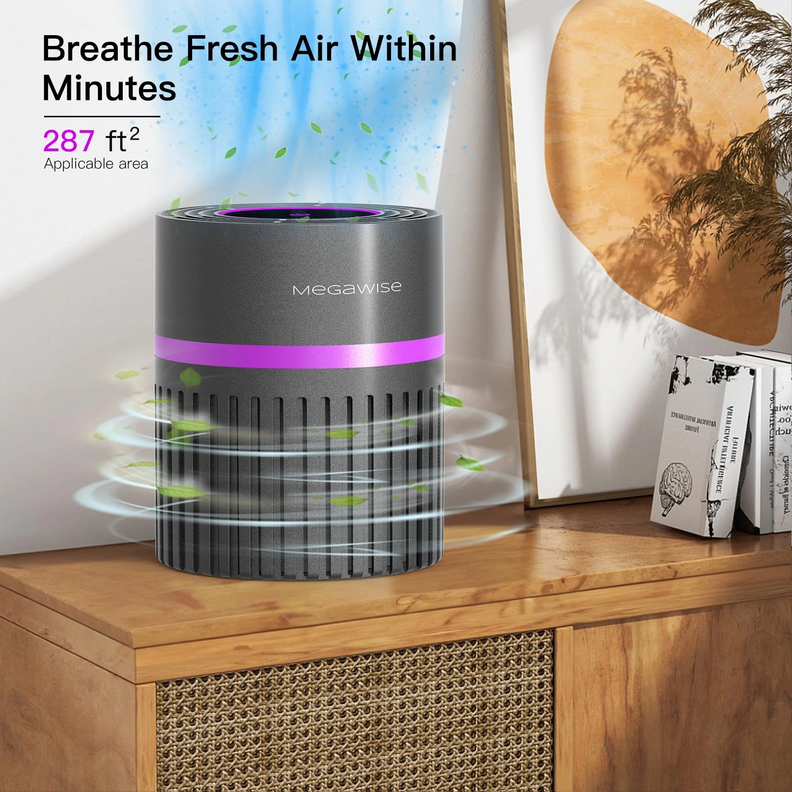 Air Purifier - H13 True HEPA 1076 ft² 25db