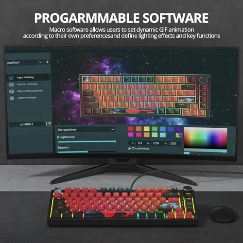 75% Mechanical Keyboard - EN Wired/Wireless