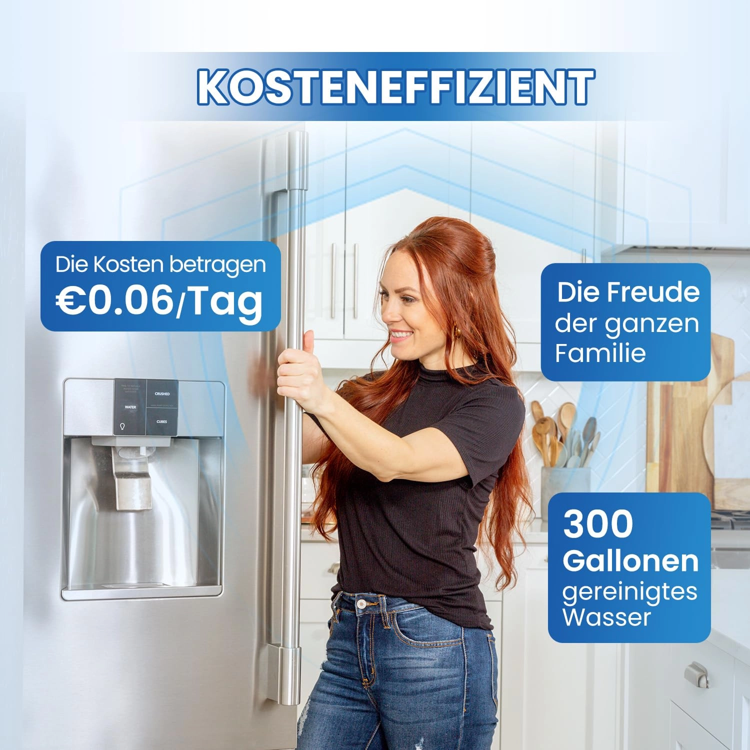 Refrigerator Water Filter