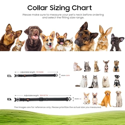 4K Pet Camera Collar - 64g Cats and Dogs