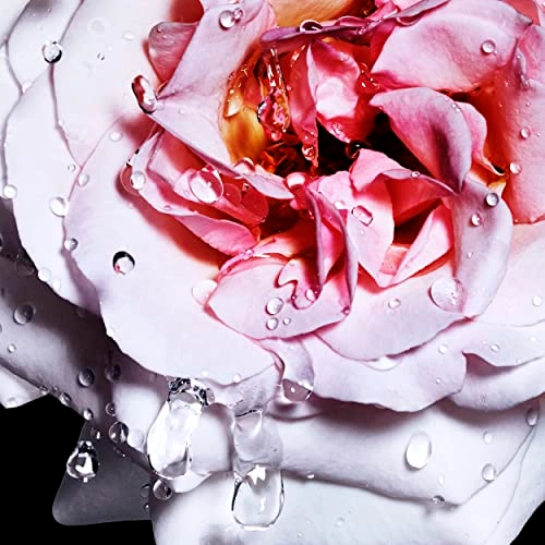 Cool Water Reborn Eau de Toilette 100ml