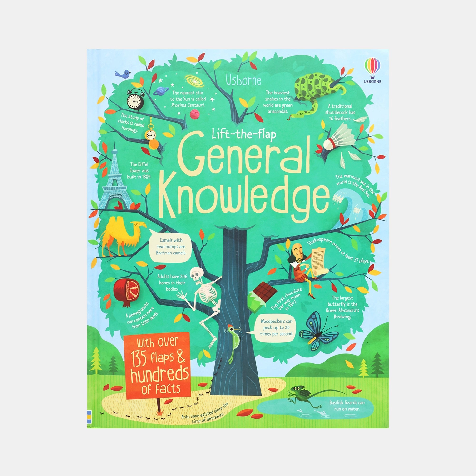 Lift-the-Flap General Knowledge - With Over 135 Flaps & Hundreds of Facts