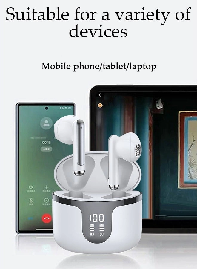 DU3160 Wireless Earbud