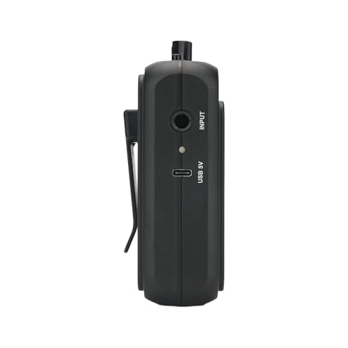 Mini Guitar Amp - 3W 1300mAh Black