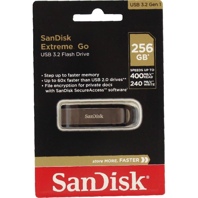 Extreme Go 256GB