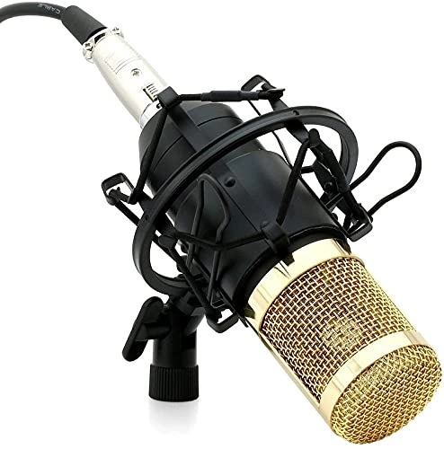 Powerpak BM-800 USB+XLR Microphone