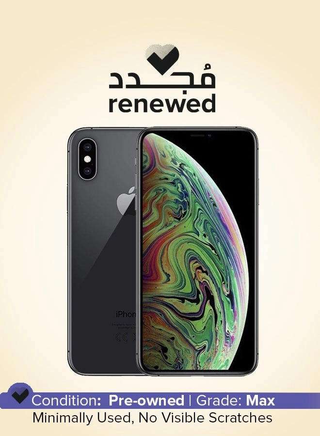 (Renewed) iPhone XS - 256GB