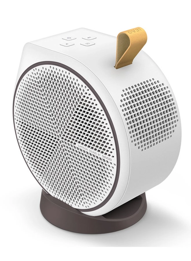 GV31 300 ANSI lumens