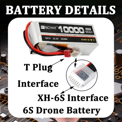 6S Lipo Battery