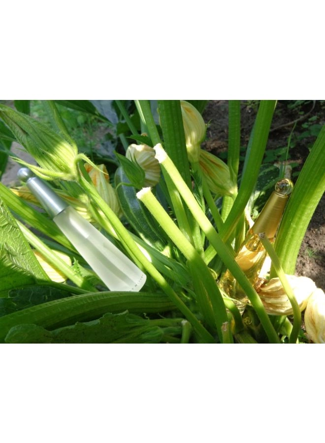 Classic Eau de Toilette 50ml