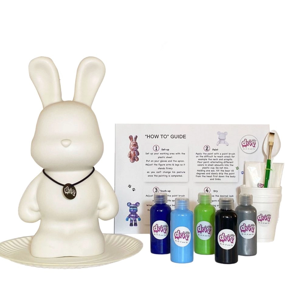 DIY Bunny Fluid Acrylic Pouring Paint Kit - 5 acrylic paints 2 oz/60 ml each; apron; clear cups; plate; gloves; paintbrush; pipette; spoon; table sheet