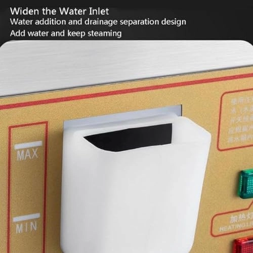 Electric Steamer