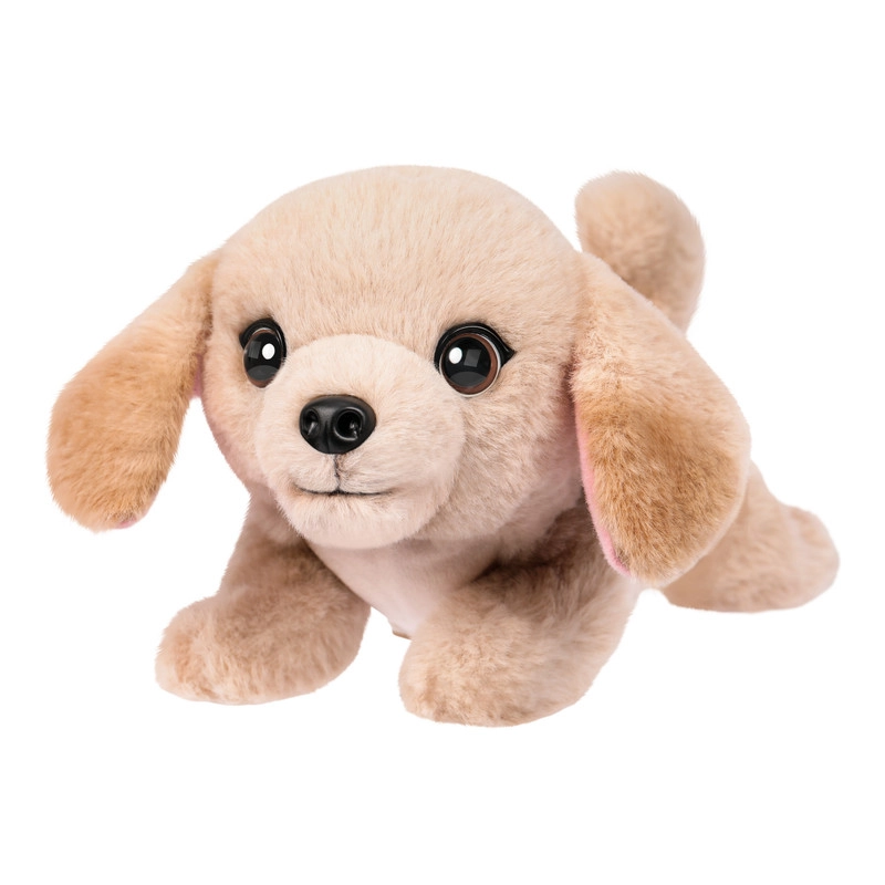 My Really Real Puppy
