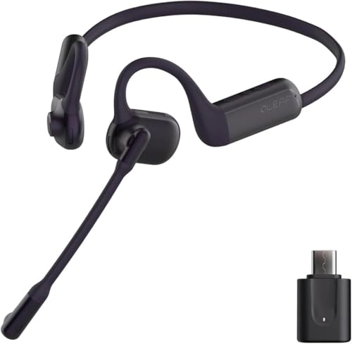 P200b Wireless Headset