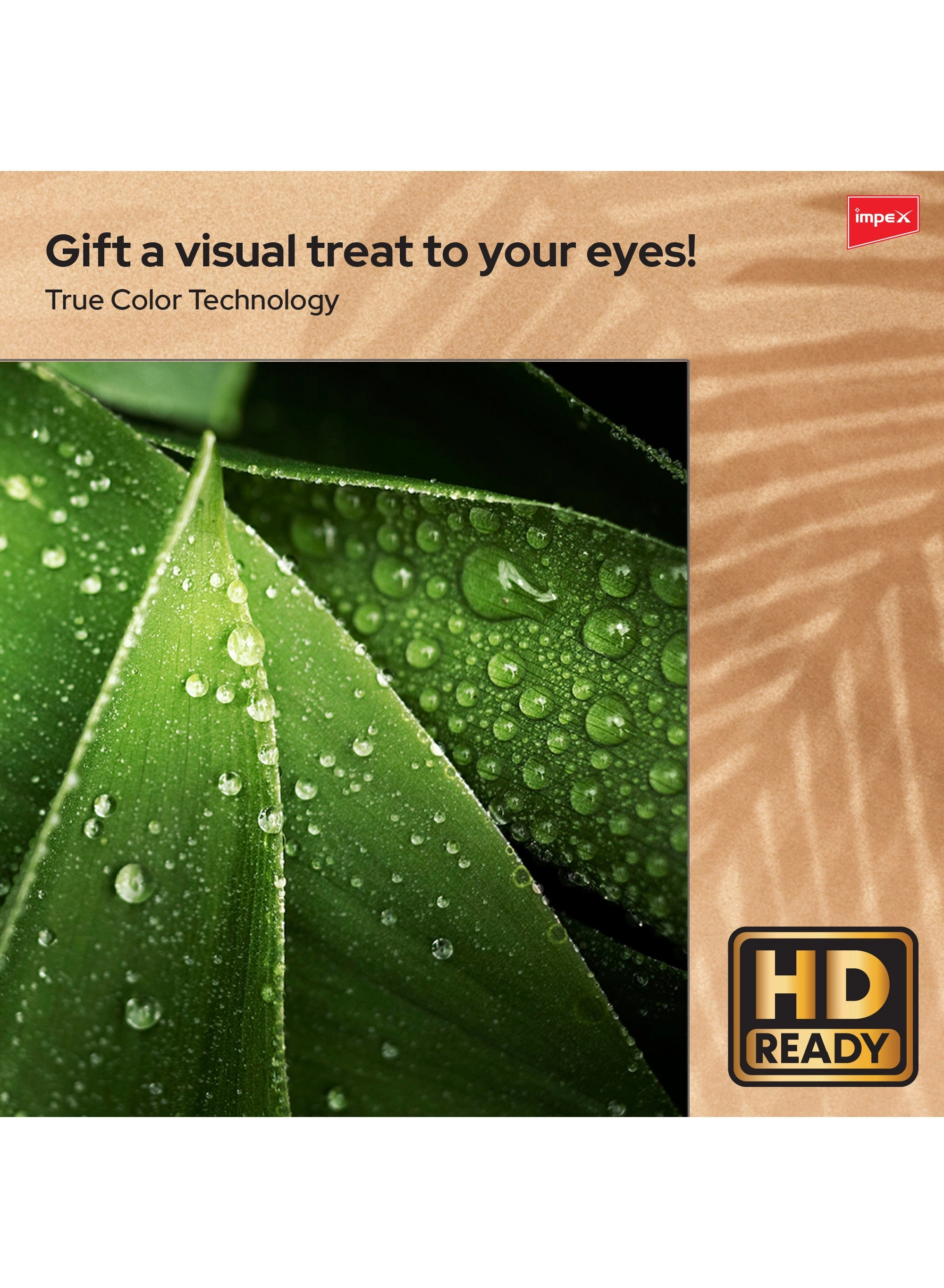 IX 32HD SMART - 32 in