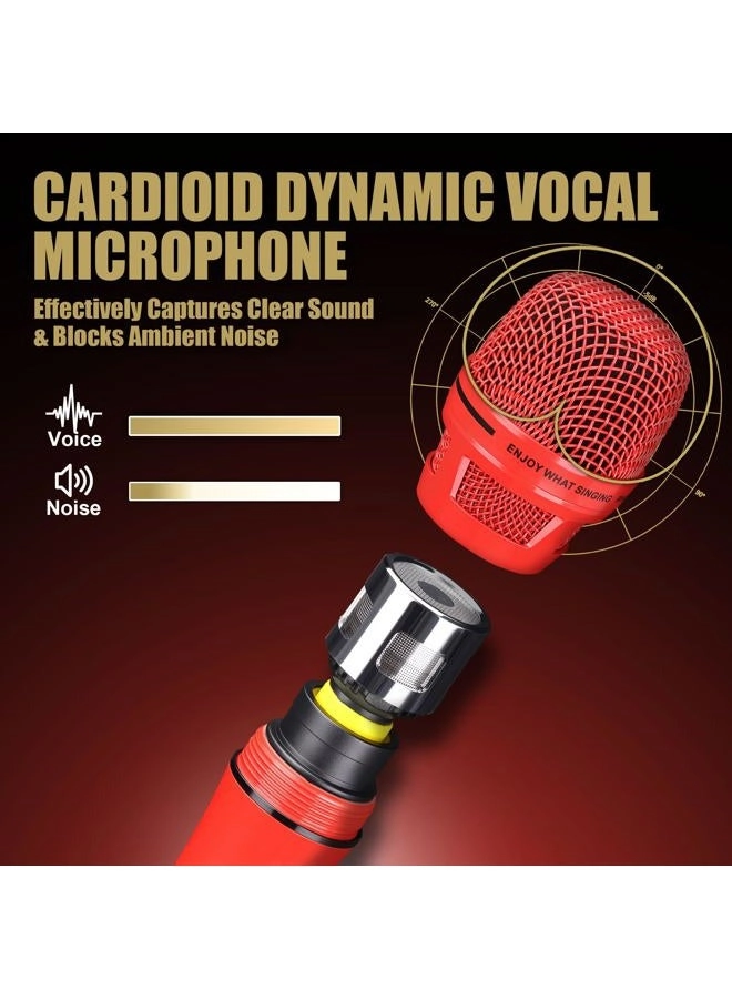 XRL XLR Microphone