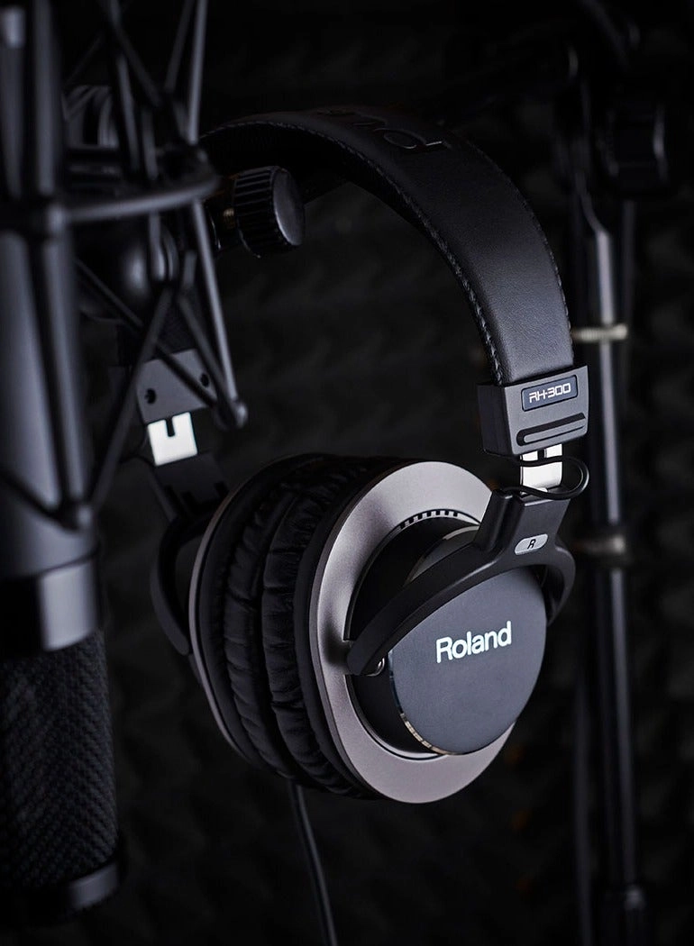RH-300 Wired Headphone