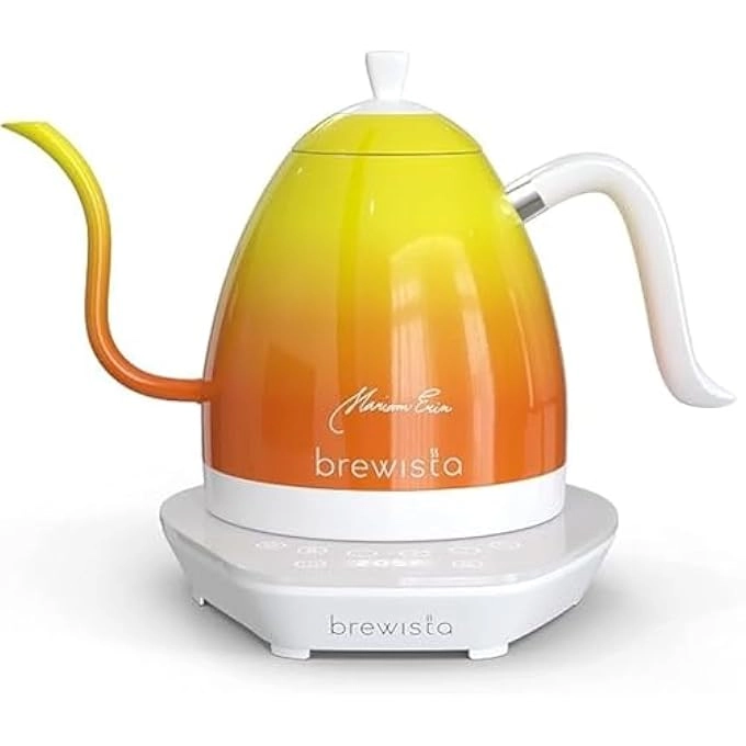 Artisan Electric Kettle