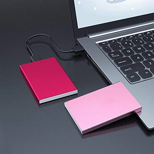 External Hard Drive - 500GB 2.5-inch HDD