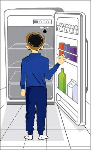 Fridg-eez - 1 piece No batteries