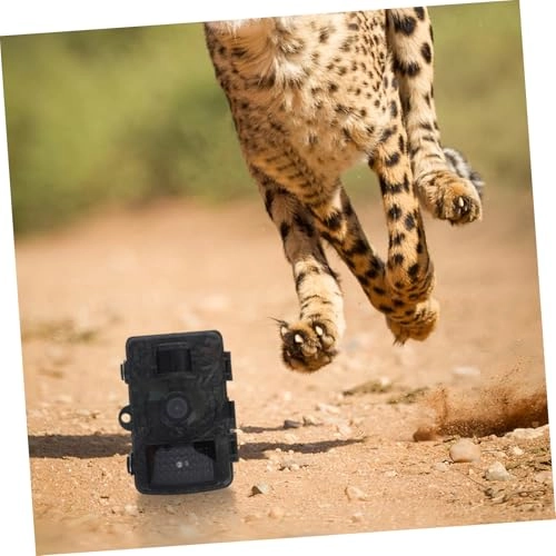 Game & Trail Cameras - Motion Activated HD Color Screen