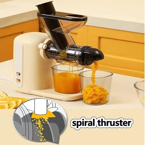 Cold Press Juicer - 100W 280ml