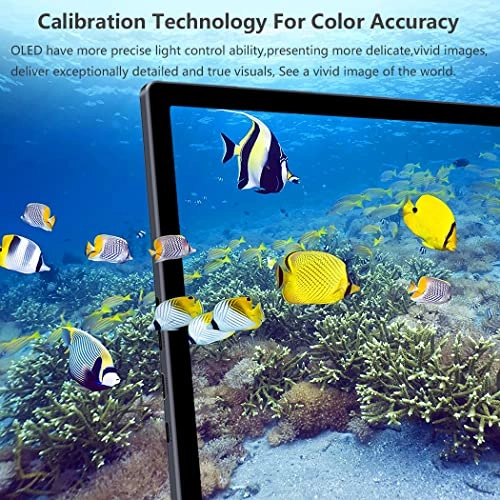 PI-X5 - 13.3 Inches 2560x1440