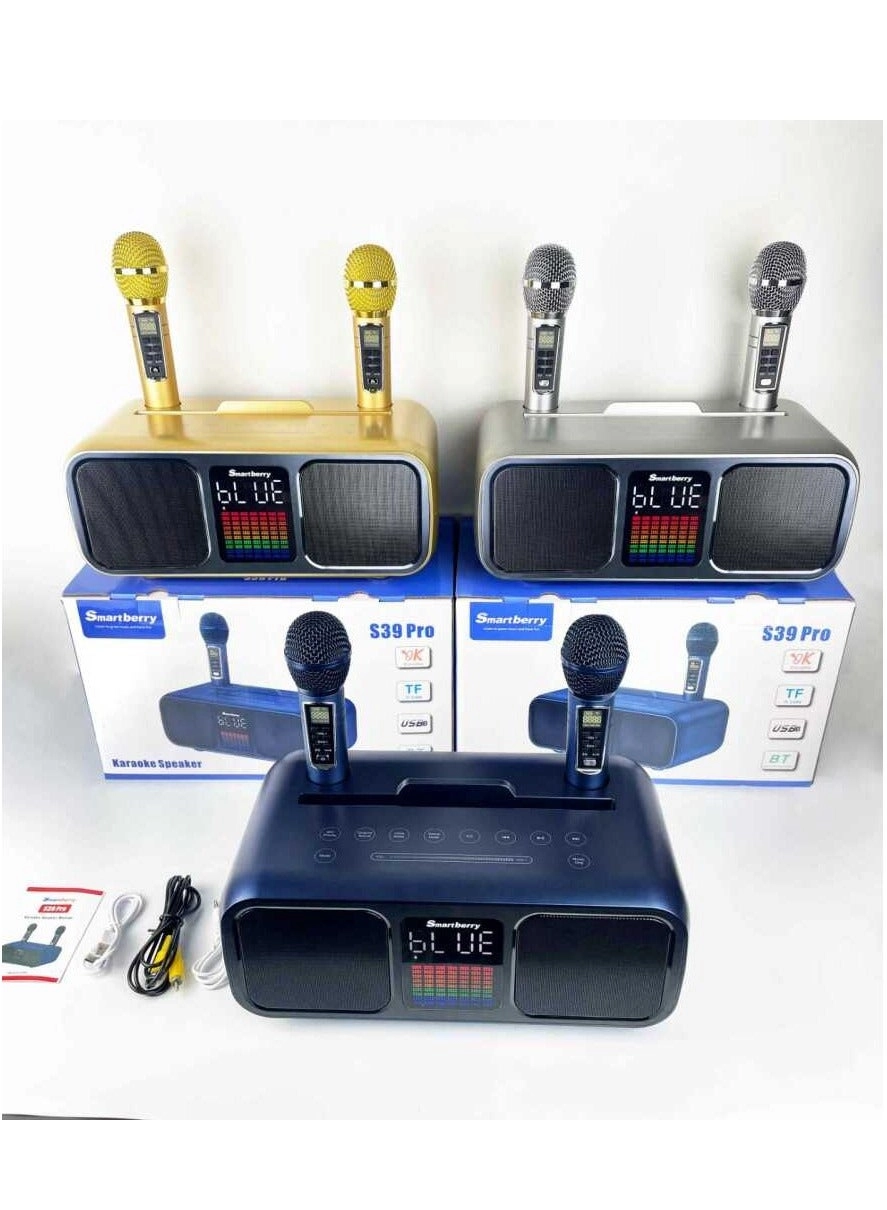 SD-306 - two wireless microphones