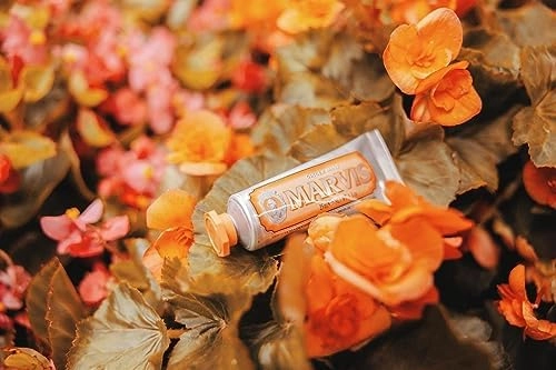 Ginger Mint Toothpaste 3.86 Oz