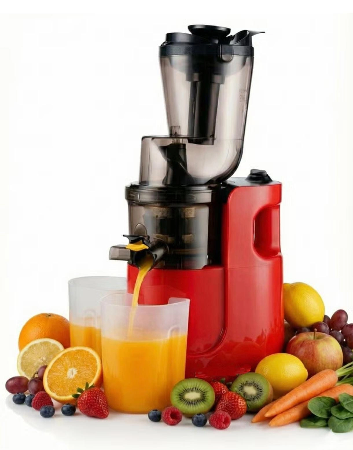 Everlyn Heavy Duty Slow Juicer
