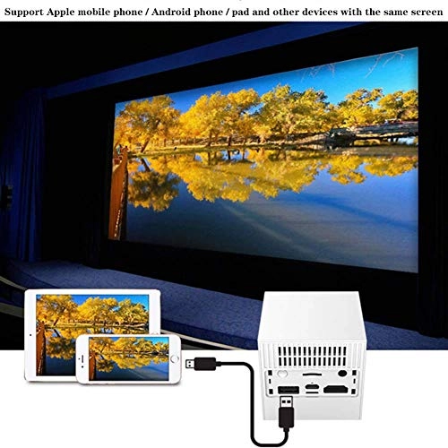 Mini DLP 100 ANSI 640 x 360