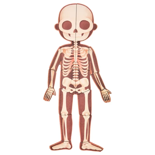 Body Magnetic Puzzle - 5 years+ 90 pieces