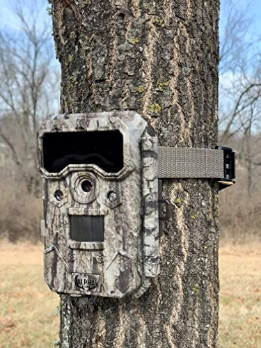 Trail Camera - 24MP
