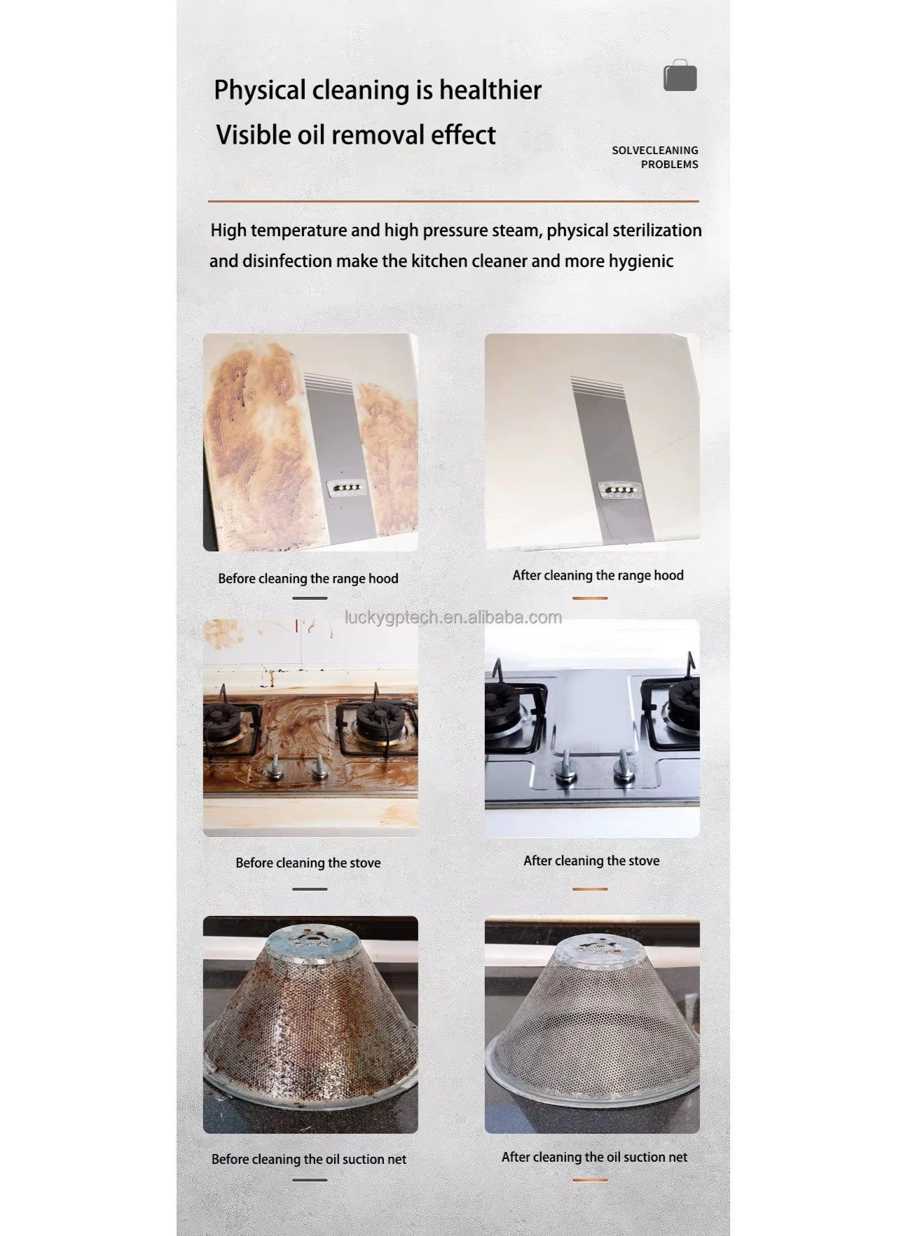 High Pressure Steam Cleaner - 3.0 BAR 1000ml