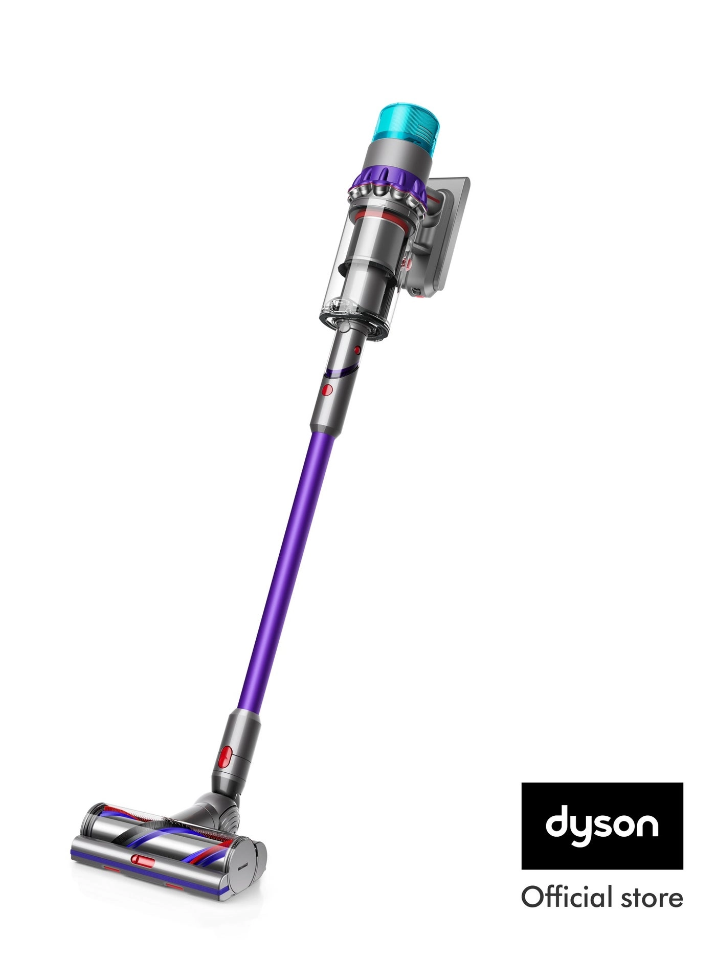 Gen5 Detect Absolute - Stick Vacuum Cleaner 70 minutes