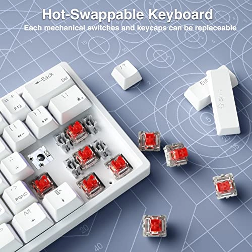 SK961 - Wired/Wireless