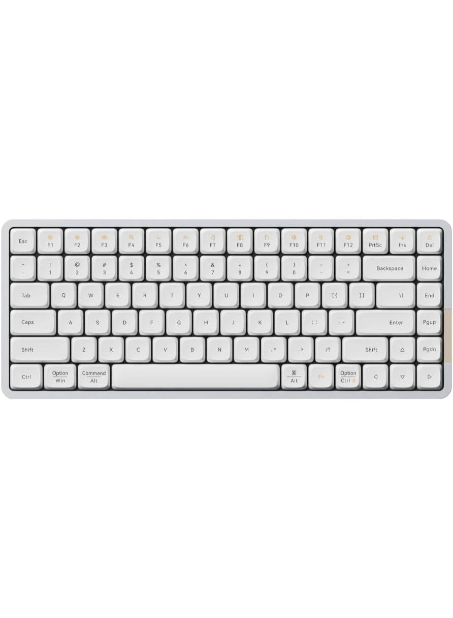 Flow Lite - EN Wireless