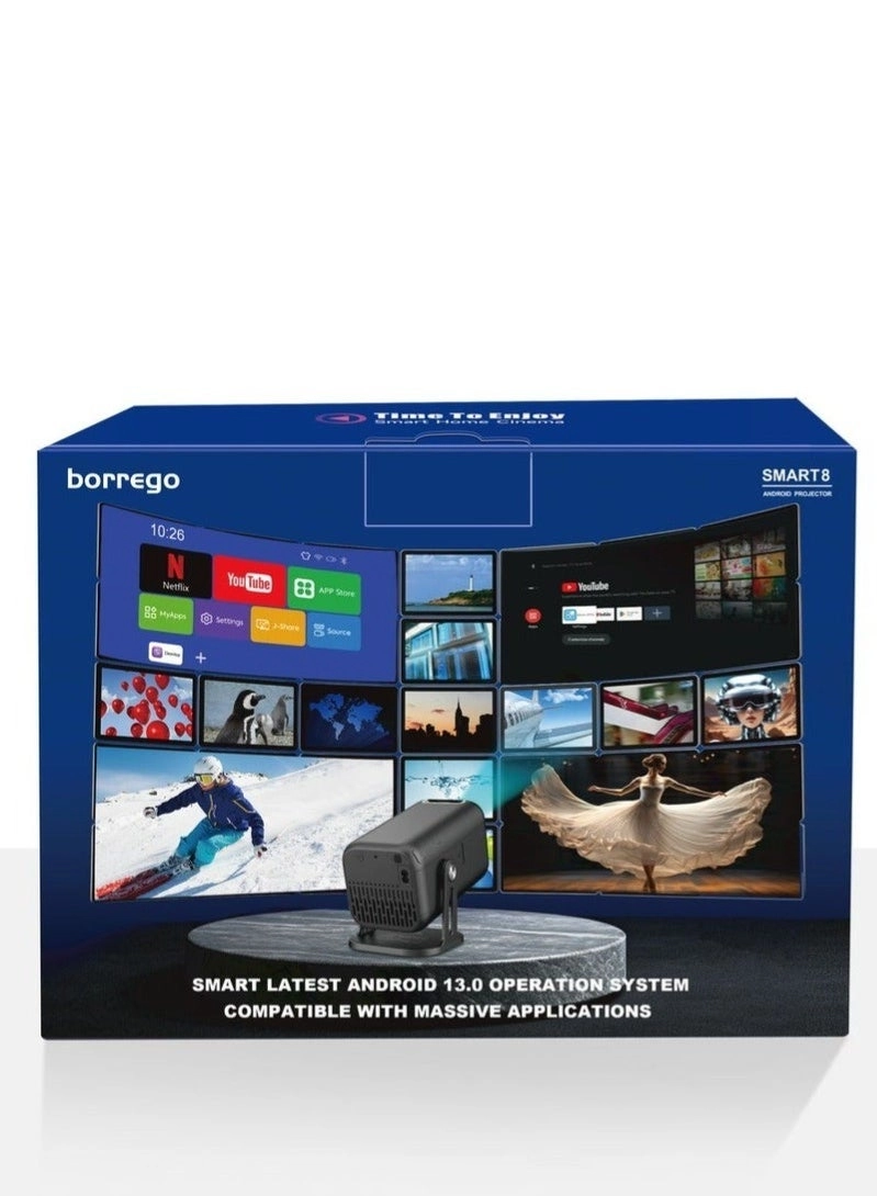 Smart8 300 ANSI Brightness